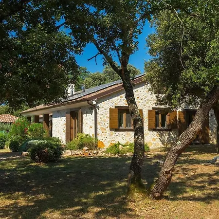 Birds House Dom wakacyjny Rovinj