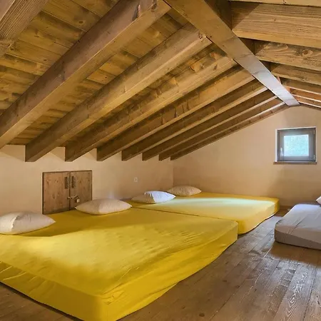 Birds House Dom wakacyjny Rovinj