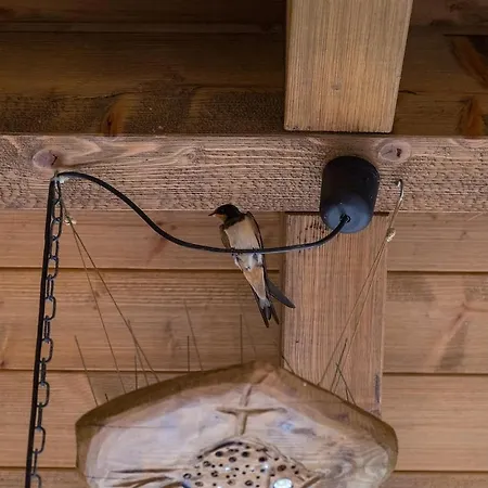 Birds House *