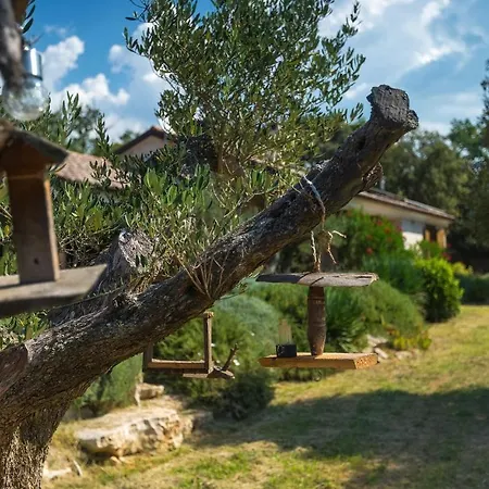 Dom wakacyjny Birds House Rovinj